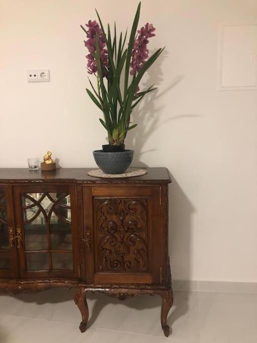 Casa Bossa Nova Apartment Fundao Ngoại thất bức ảnh